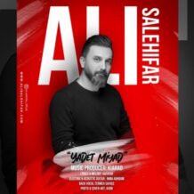 آهنگ جدید علی صالحی فر به نام یادت میاد